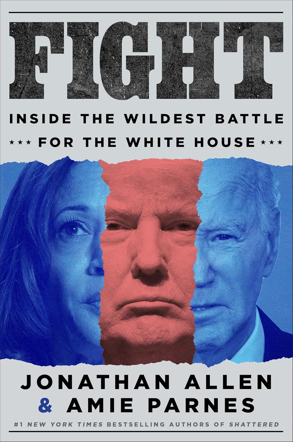 Fight Book Cover