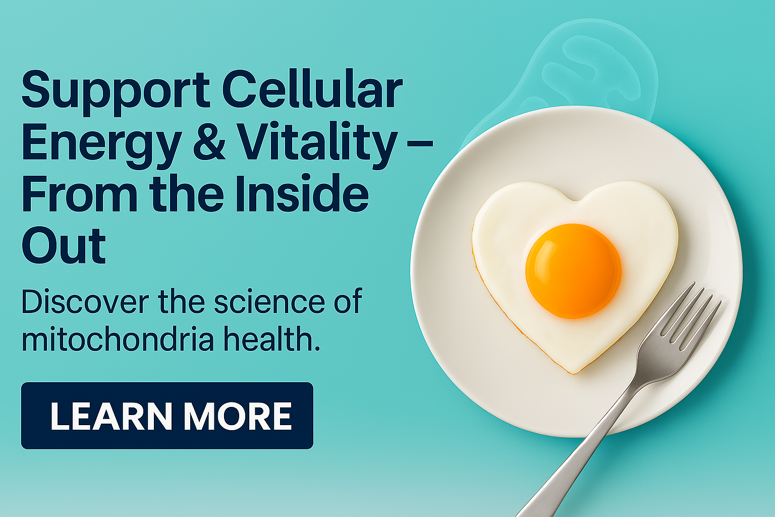 Mitochondria Health Supplement Offer